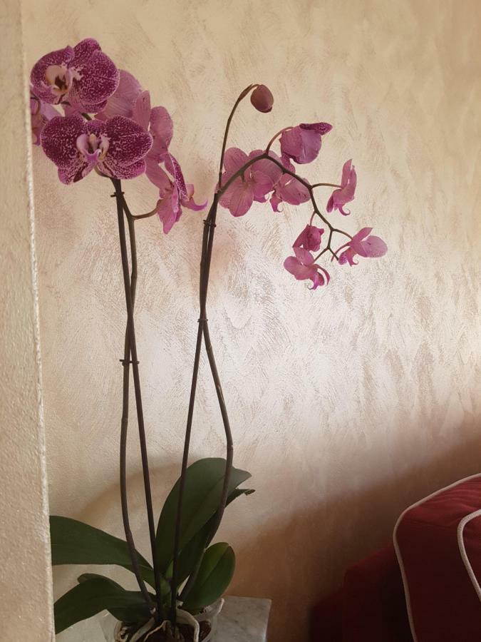 Casa Vacanza Nonna Dora Ματέρα Εξωτερικό φωτογραφία